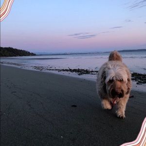 Meet your Posher, Kirsten